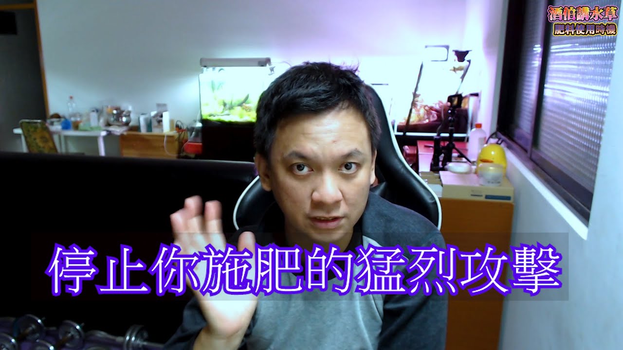 #水草種植篇17~哪時候添加肥料?添加比例?對水草才是最安全的