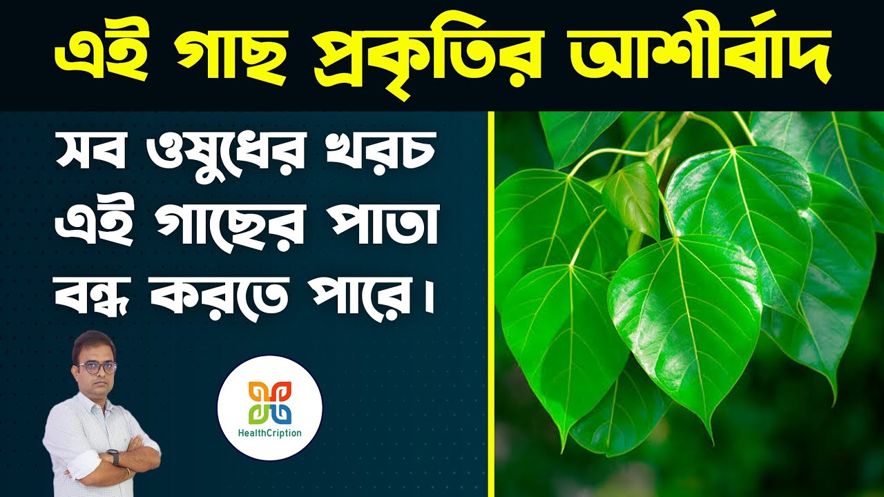 এই গাছ আপনাকে লক্ষ টাকার ওষুধের খরচ থেকে মুক্তি দিতে পারে। Magical Health benefits of peepal tree.
