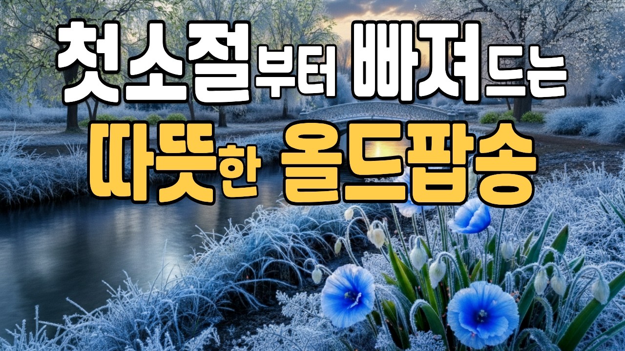 🎶첫소절 부터 빠져드는, 따뜻하게 감싸주는 7080 추억의 팝송ㅣFM라디오 감성 [#79]ㅣ올드팝 카페음악 플레이리스트