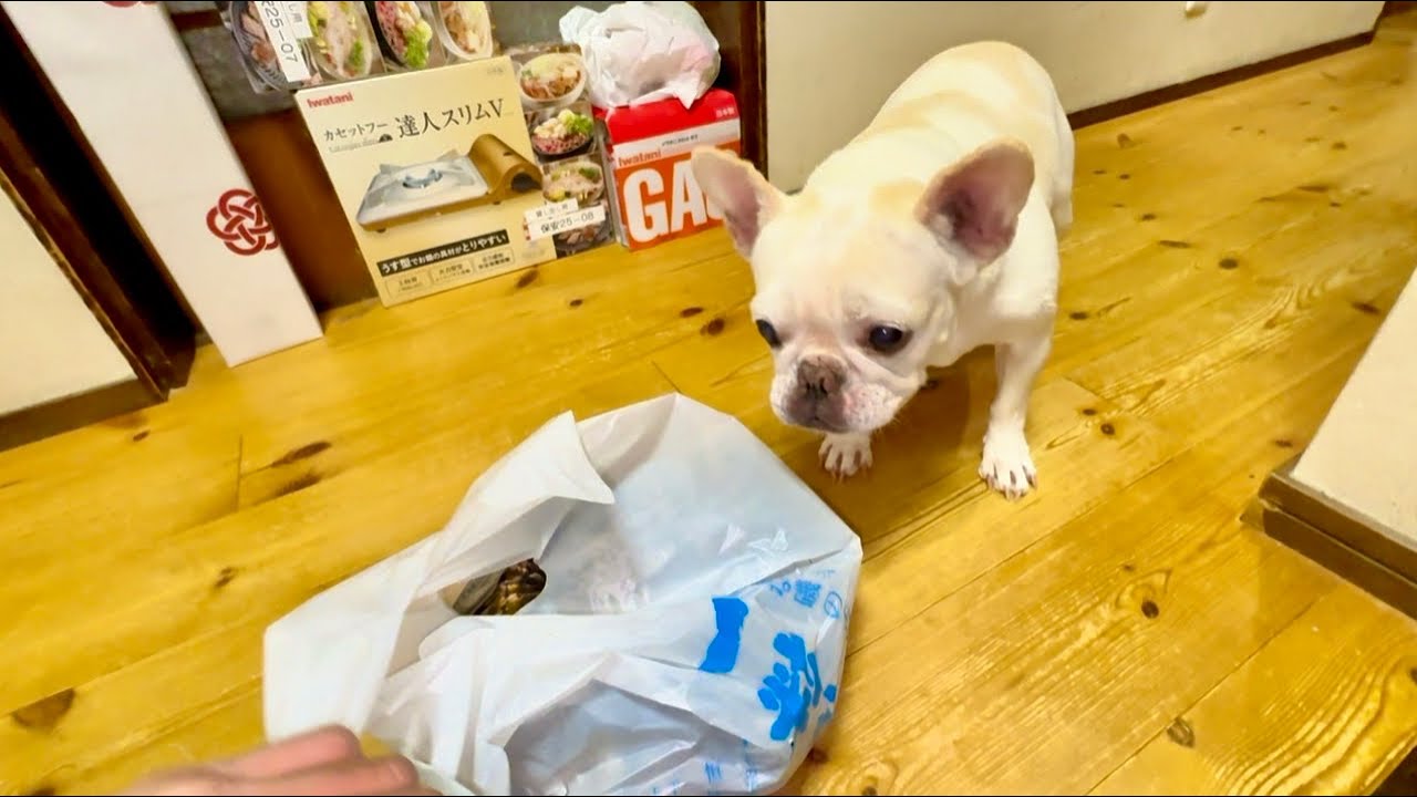 ついに念願の“アレ”を手に入れる事ができました！