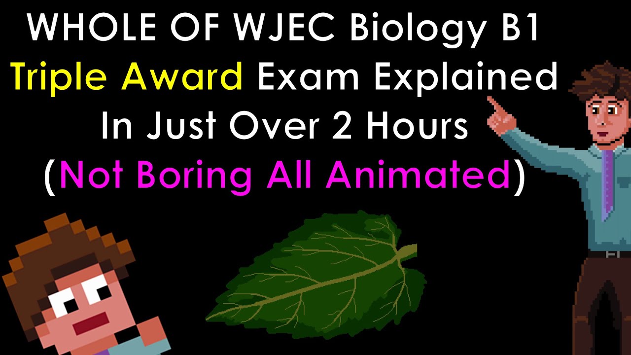 Triple Award Year 10 All Content Biology - Be Ready for June 13th!