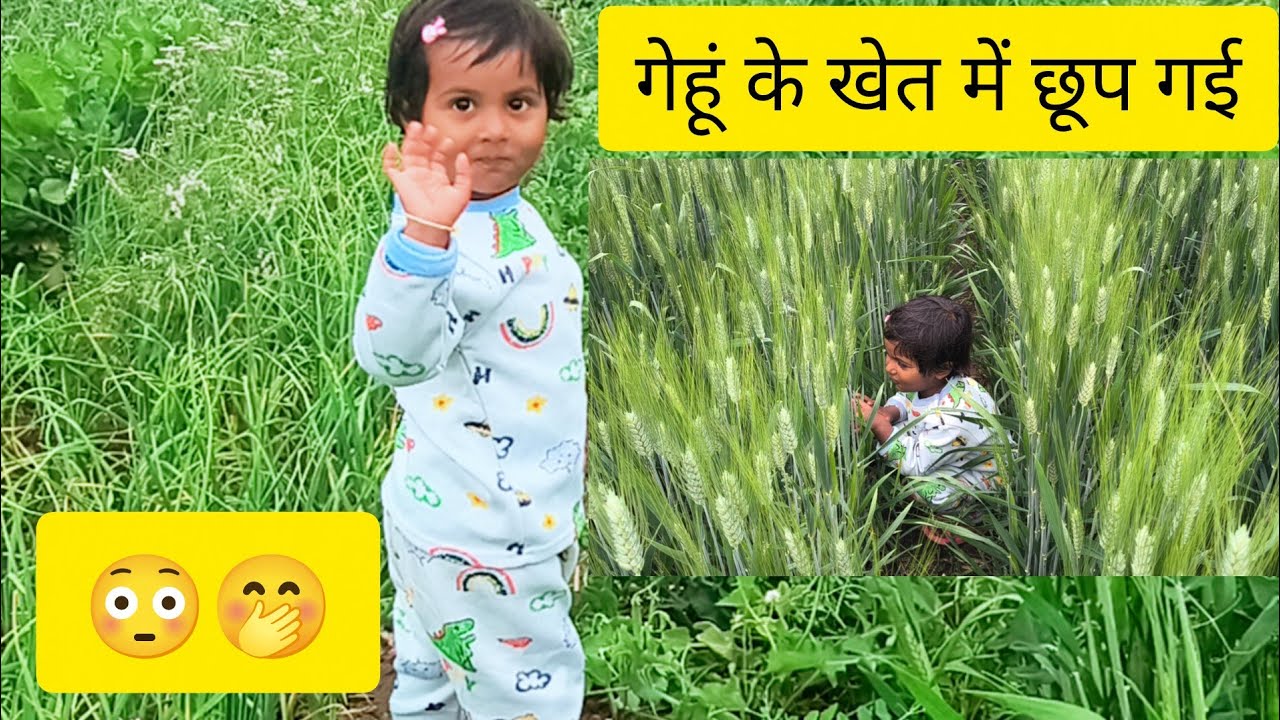Khet Me Chhupan-Chhupai 😍 | Elisha Cute Vlog