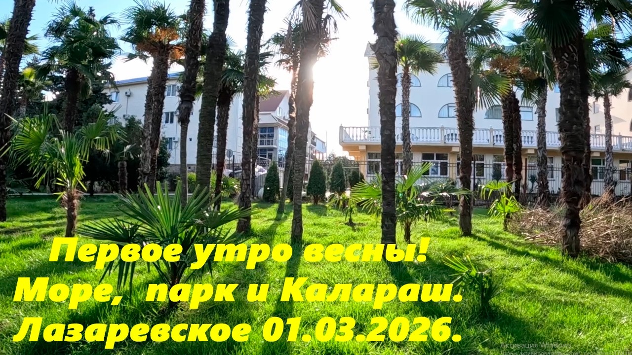 Первое утро весны! Лазаревское 01.03ю2026. Море, парк и Калаараш.