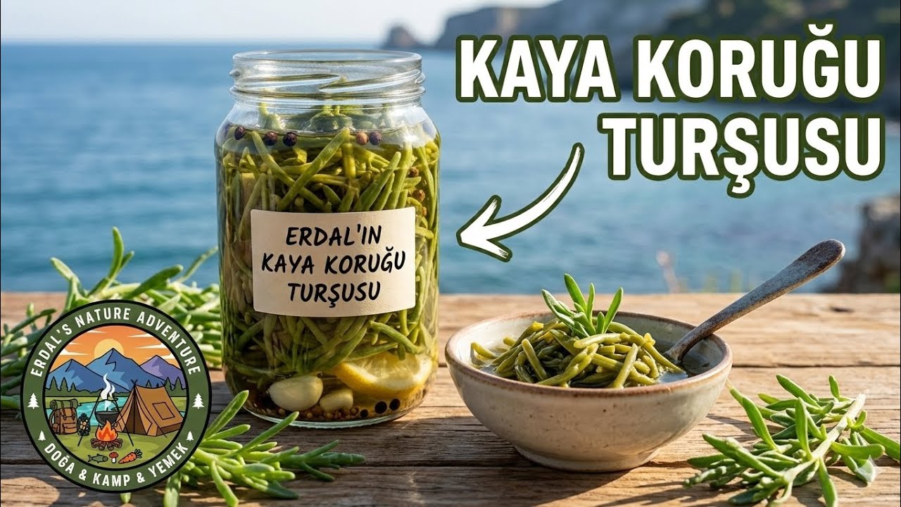 DÜNYANIN EN ŞİFALI BİTKİLERİNDEN KAYA KORUĞU TOPLAYIP TURŞU YAPTIM