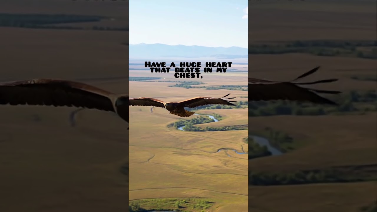 DJ Solkatt - Soulful Echoes (Lyrics Video)