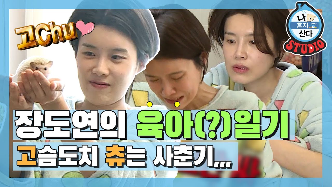 [나혼산 다시보기] 고된 육아에 지친 도연맘〒▽〒 고슴도치를 통해 효도를 배웠읍니다,,,