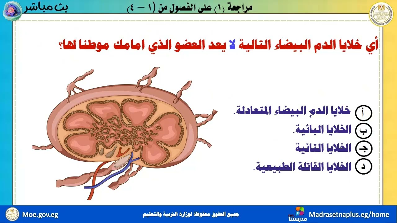 الأحياء_الصف الثالث الثانوي_مراجعة (1) من الفصول من ( 1- 4 ) _2025_2026