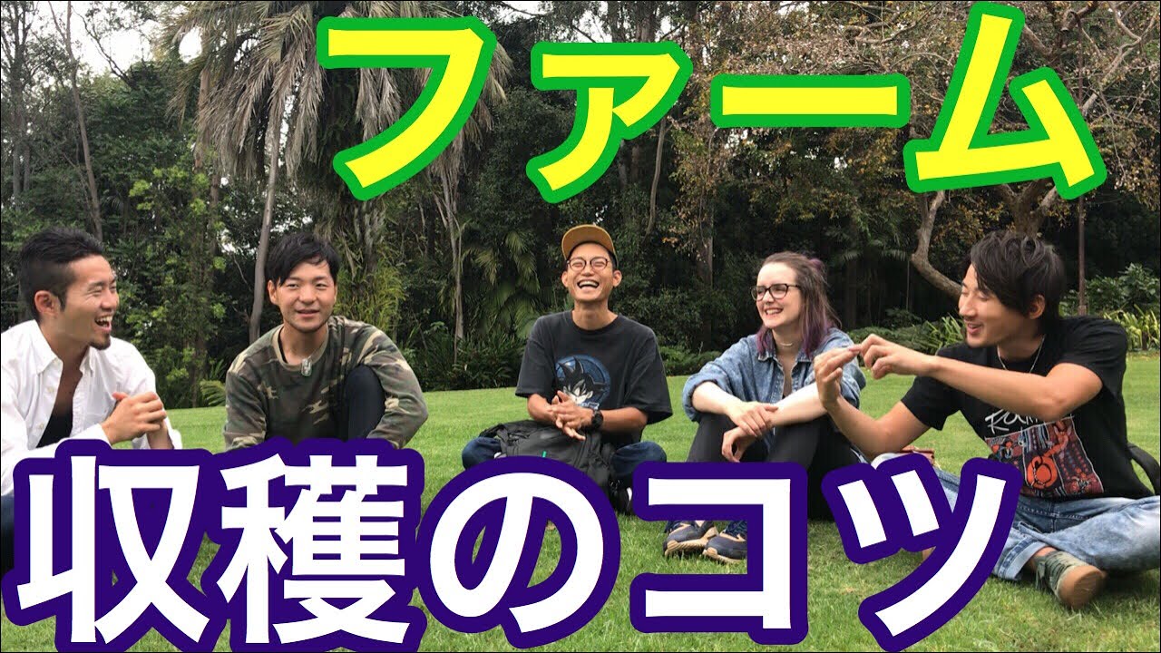 【ファーム・ワーホリ】最短距離でトップピッカーになれる方法をきいてみた！