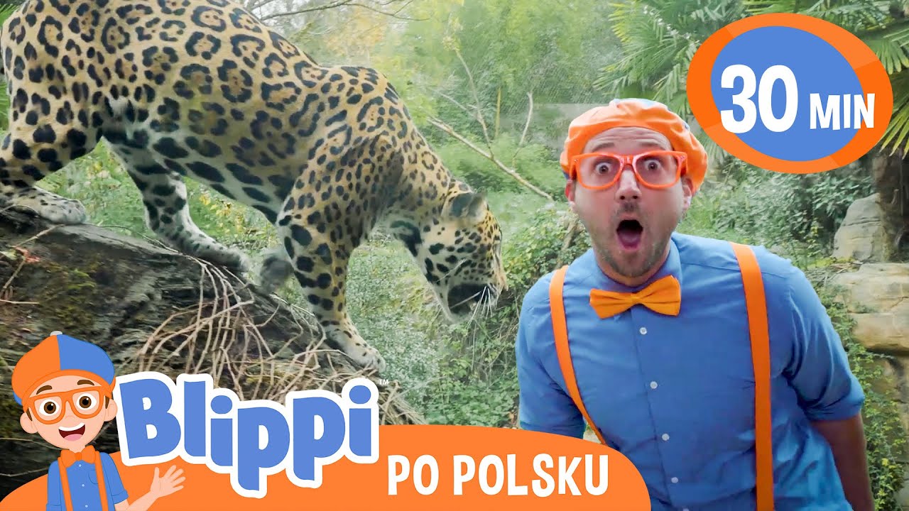 Blippi w ZOO: Poznajmy Dzikie Zwierzęta 🦁 | Bajki i piosenki dla dzieci po polsku | Moonbug Kids
