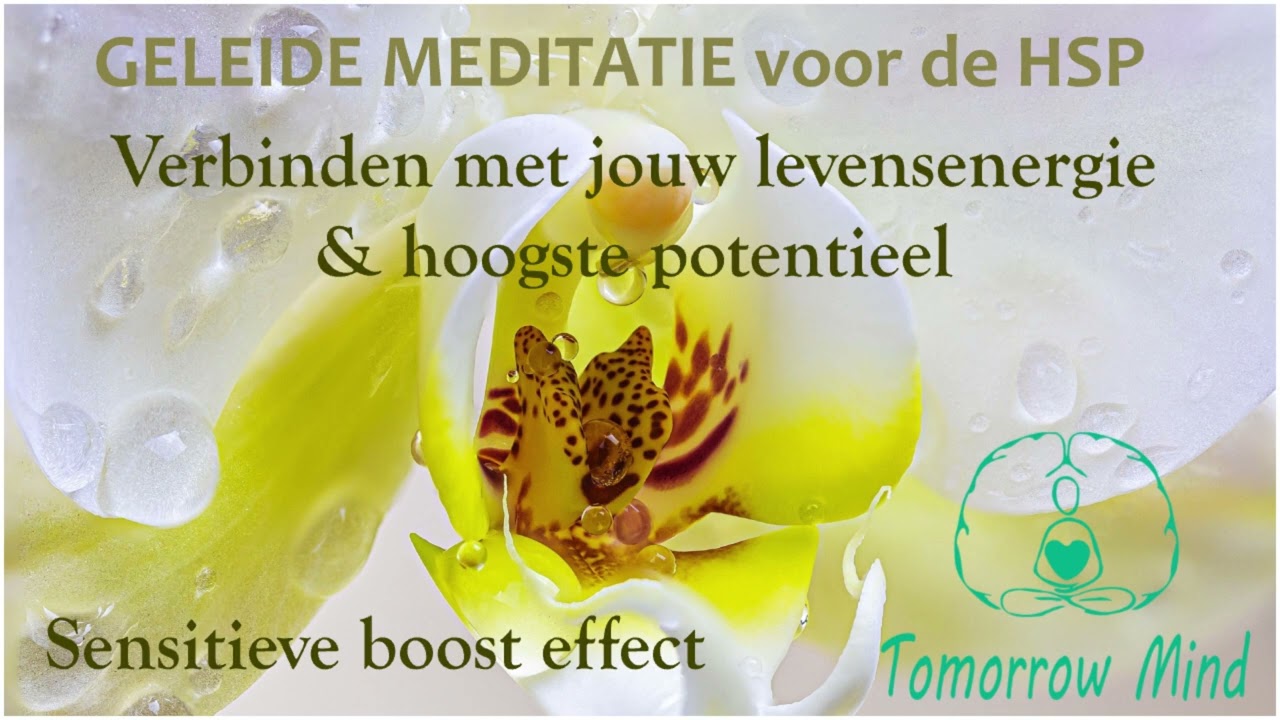 Geleide meditatie voor de HSP: verbinden met jouw levensenergie en hoogste potentieel
