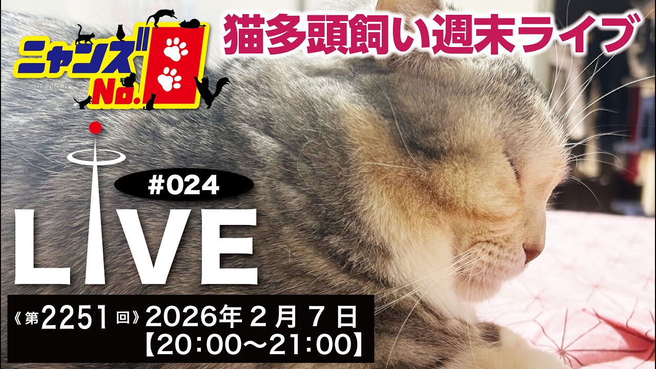 《第2251回》LIVE#024　猫多頭飼い 週末ニャンズ　ライブ