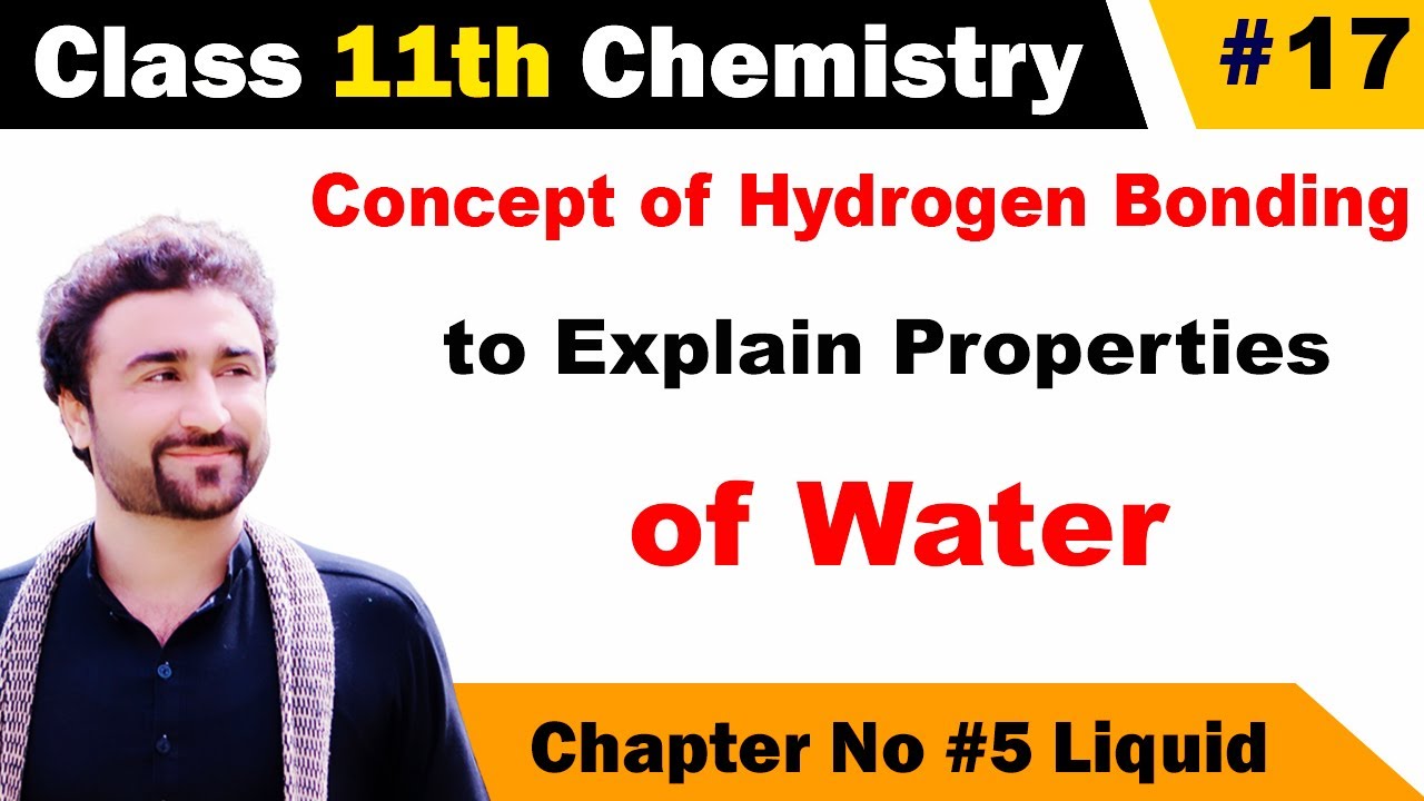Concept of hydrogen bonding to explain properties of water class 11