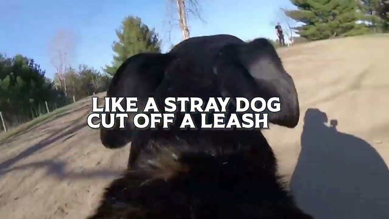 God-Led / July Teaching Series at The Elevation Church