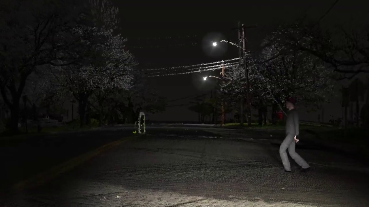 Pedestrian Accident Animation
