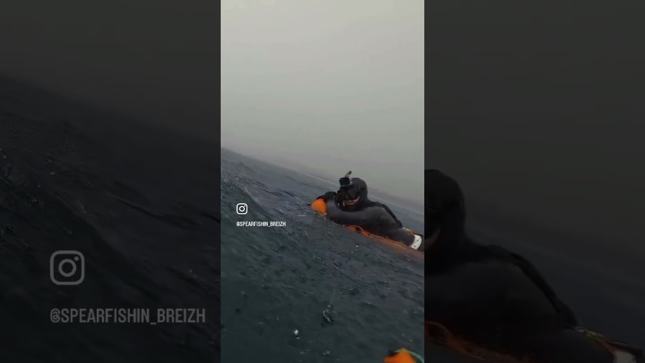 Spearfishing cotes d&rsquo;armor 💥💥