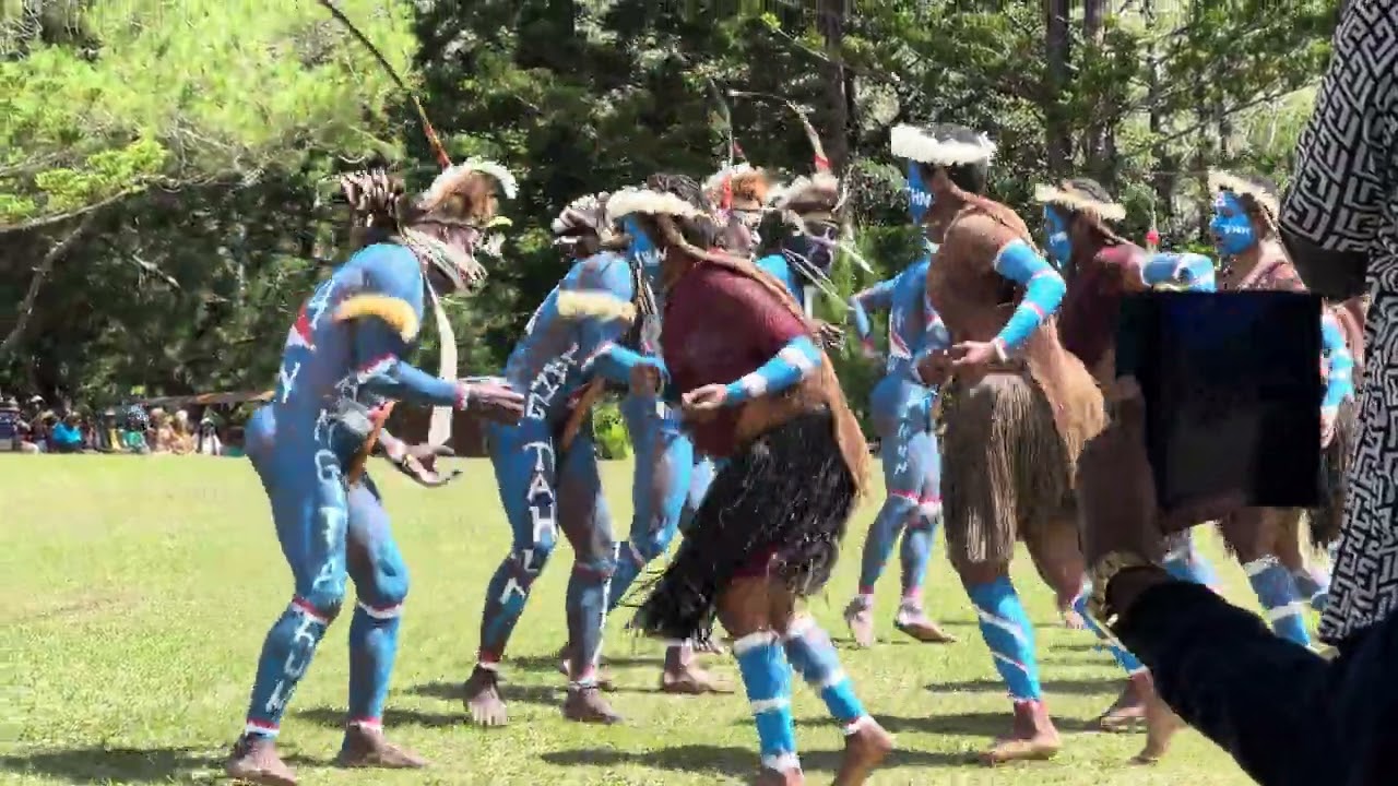 Tarian Budaya Papua Pegunungan. #viral #videoshort #viralvideo #papuapegunungan #budayapapua #etnik 