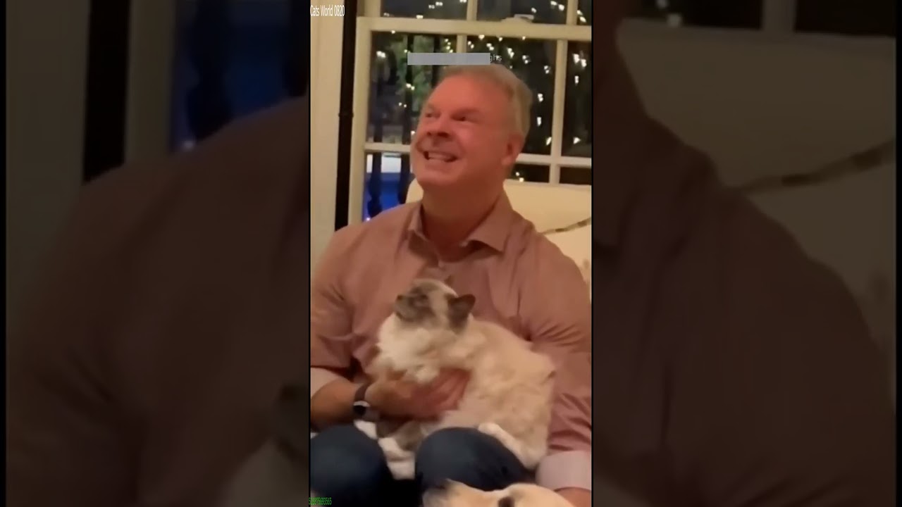 Funny Cats 2025 🥰 #animals 😼 # Part 6844
