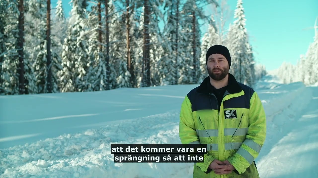 Spr&auml;nga tr&auml;d &auml;r en favoritsyssla i H&ouml;gsp&auml;nning, inte minst f&ouml;r Niclas och Simon!