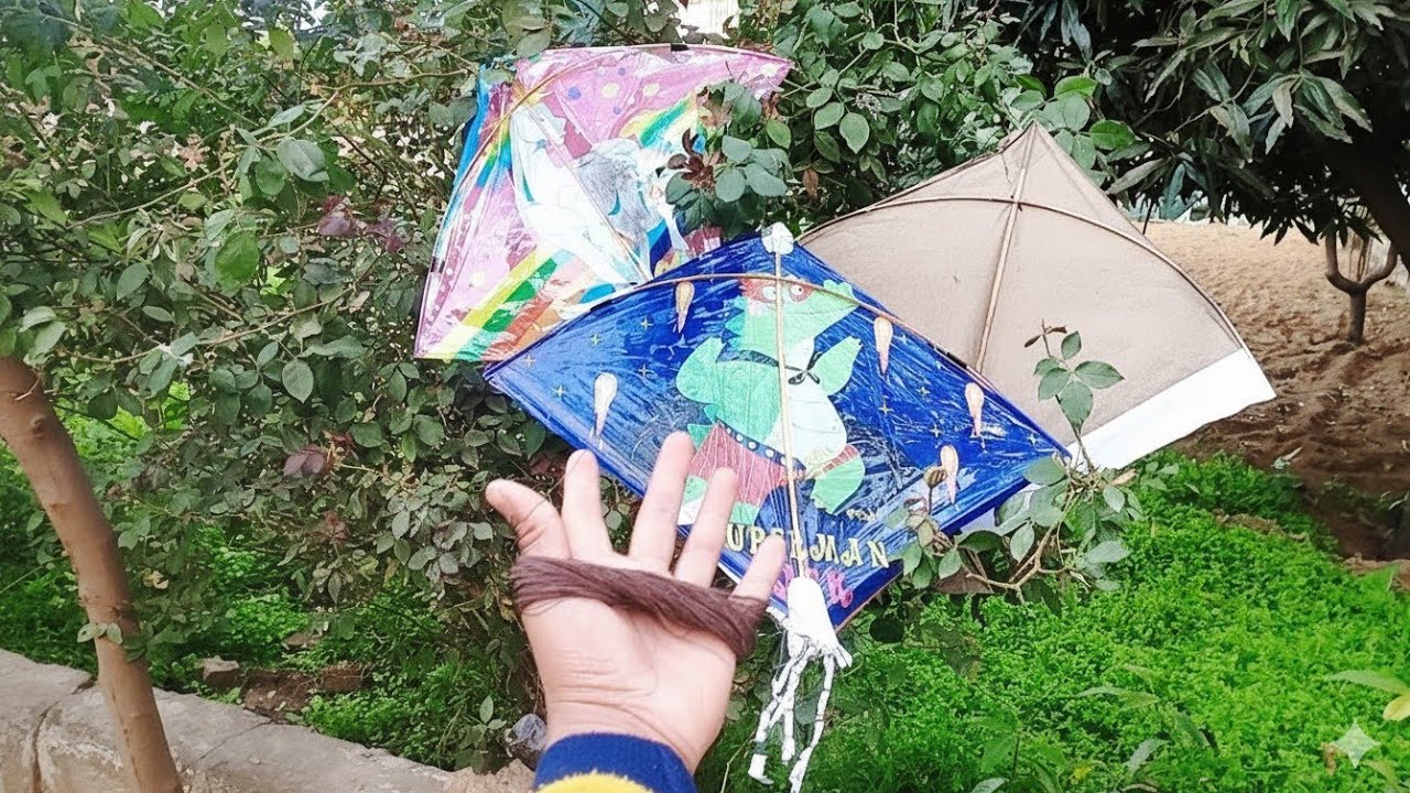 Etni Sari Kite Loot Li Jungle Se  🏕️ Happy New year 
