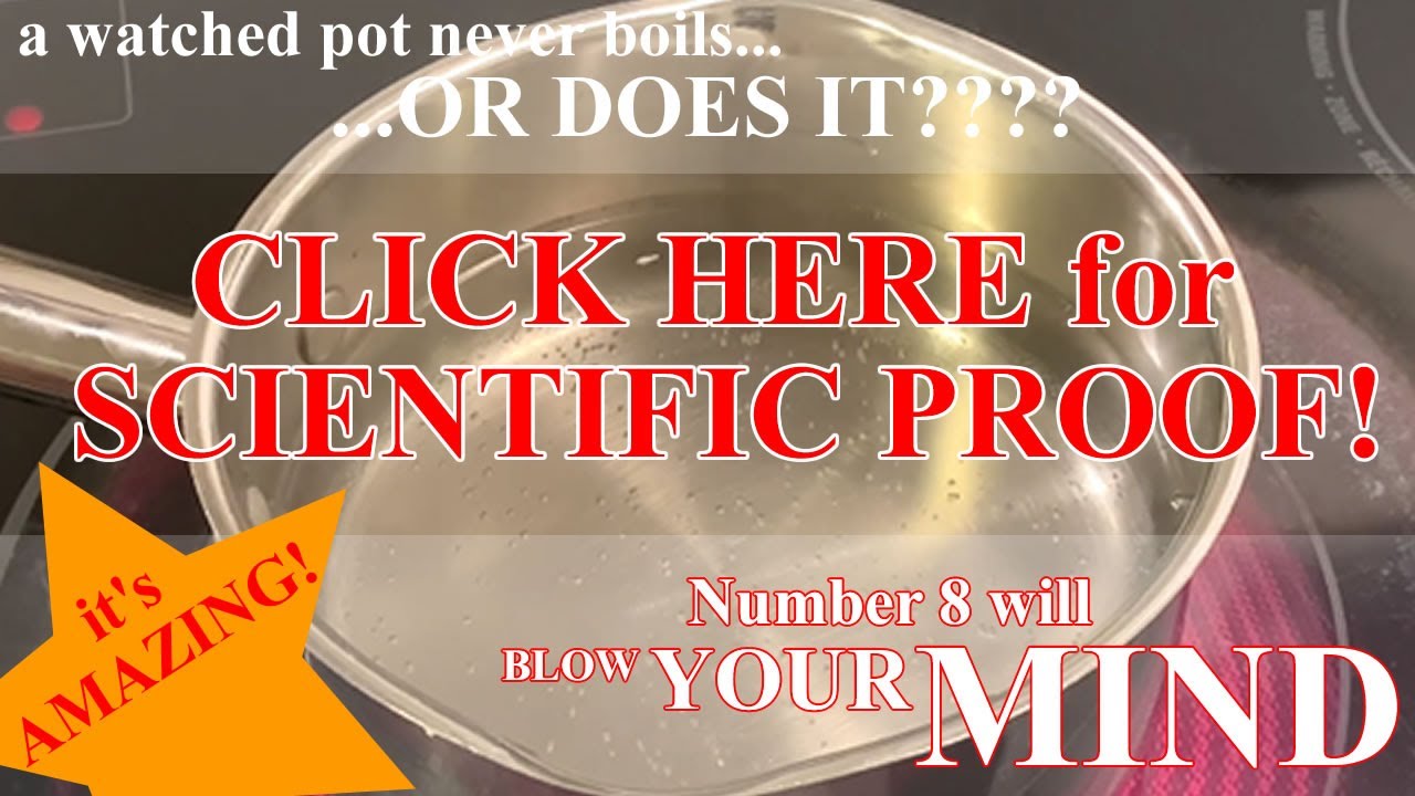 Boiling Water - Not boring at all, I promise!