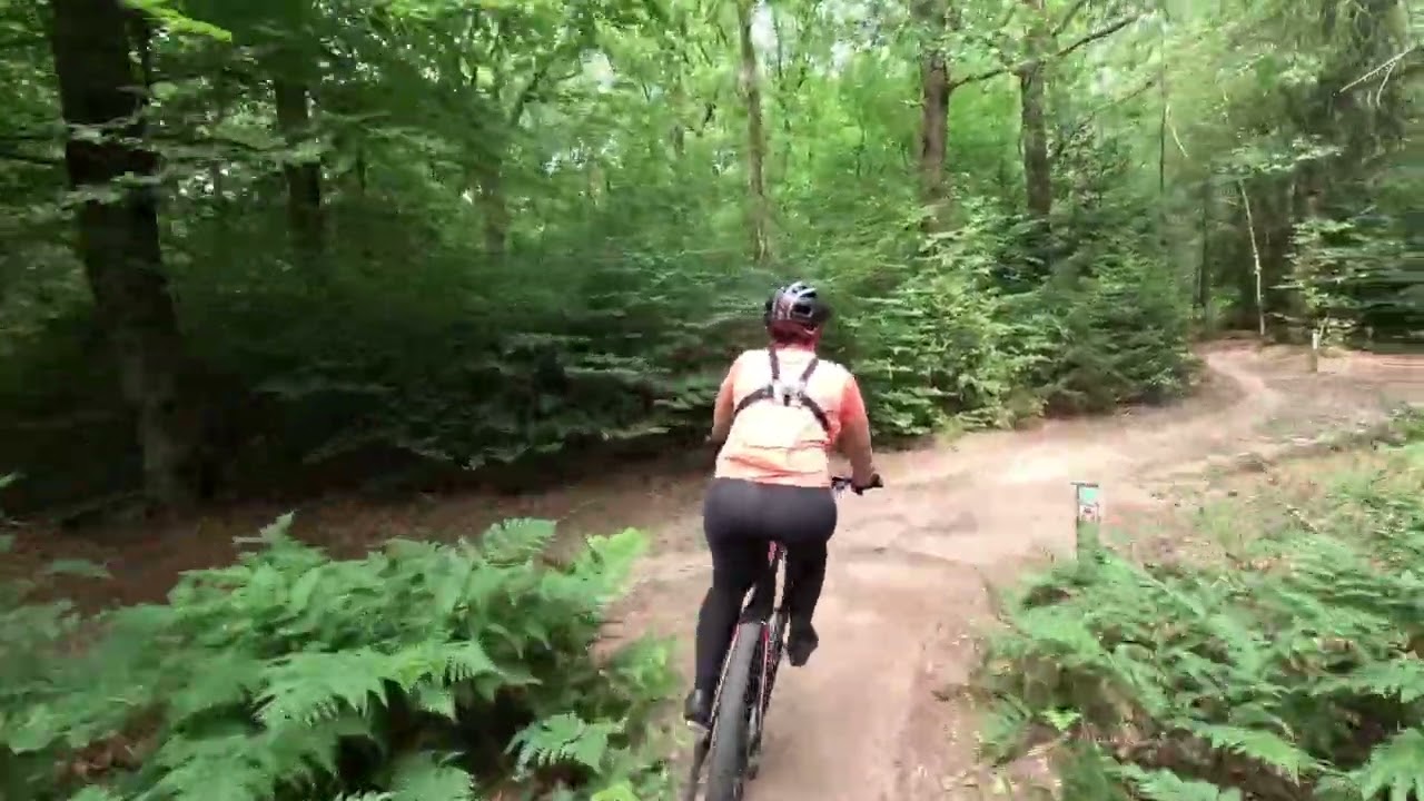 Mtb Hoge Vuursche (utrechtse heuvelrug)