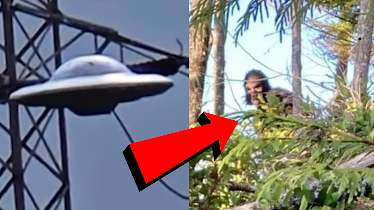 🚨VIRAL UFO VIDEO!! Woman STALKED By BIGFOOT?!