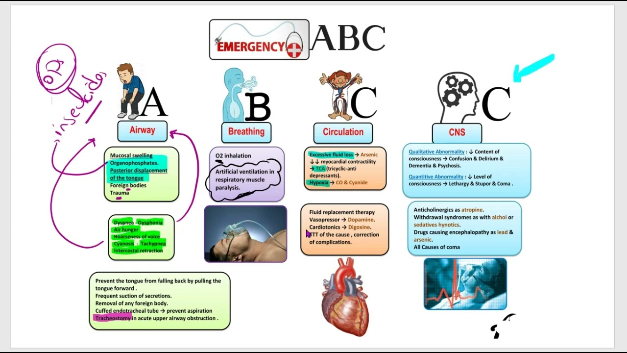 General Toxicology (2)