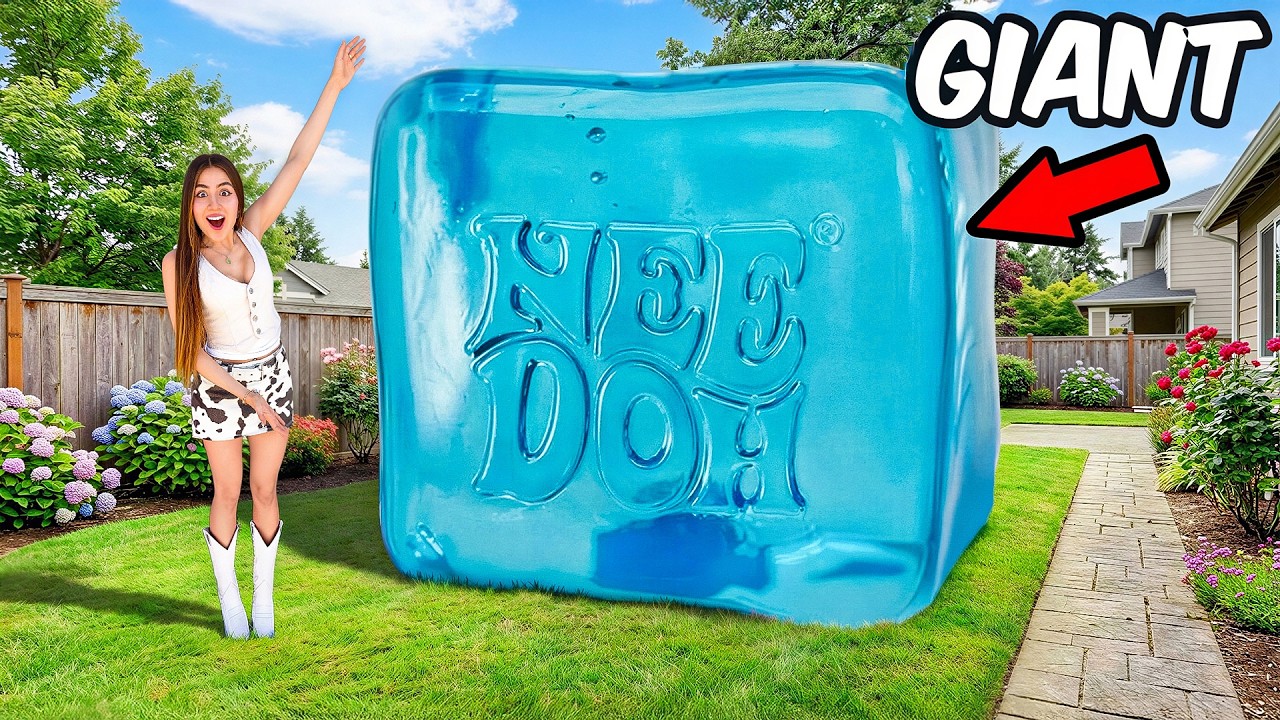 Making the World's BIGGEST NEEDOH! Plus $1000 Giveaway!