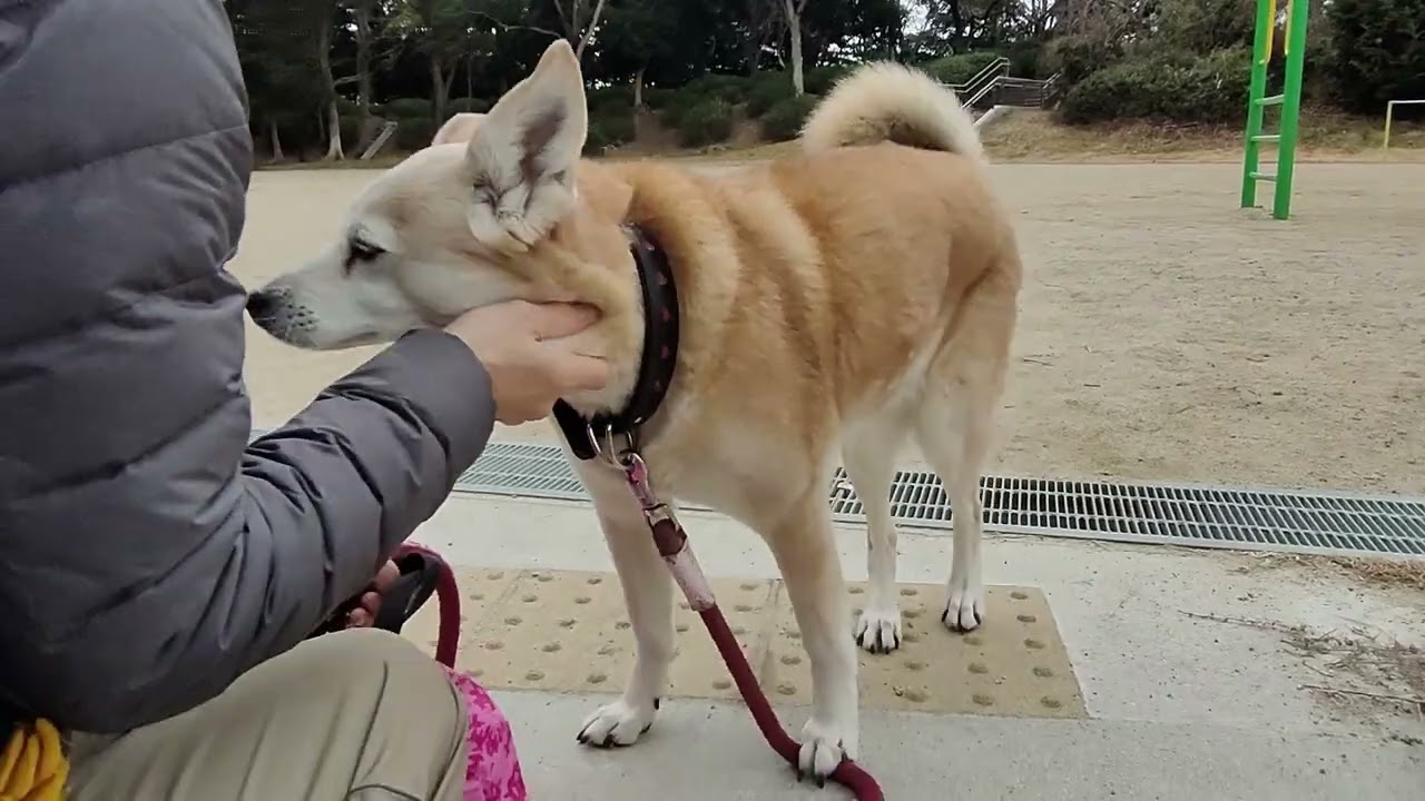 20260206am みんな大好き