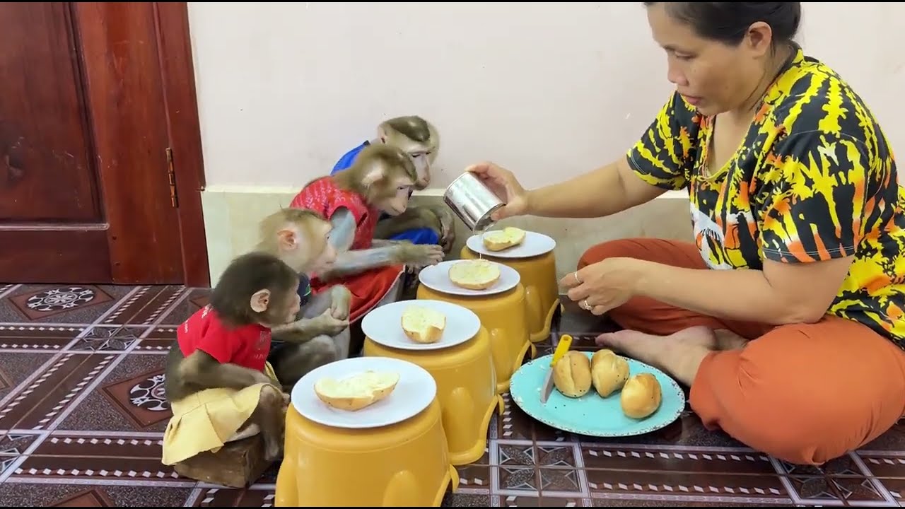 4 Sibling sit in line very well wait mom prepare bread &milk to eat in the morning .