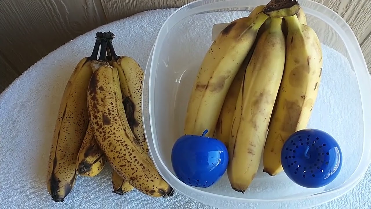 Ethylene Gas Absorbers help Fruit not ripen as fast