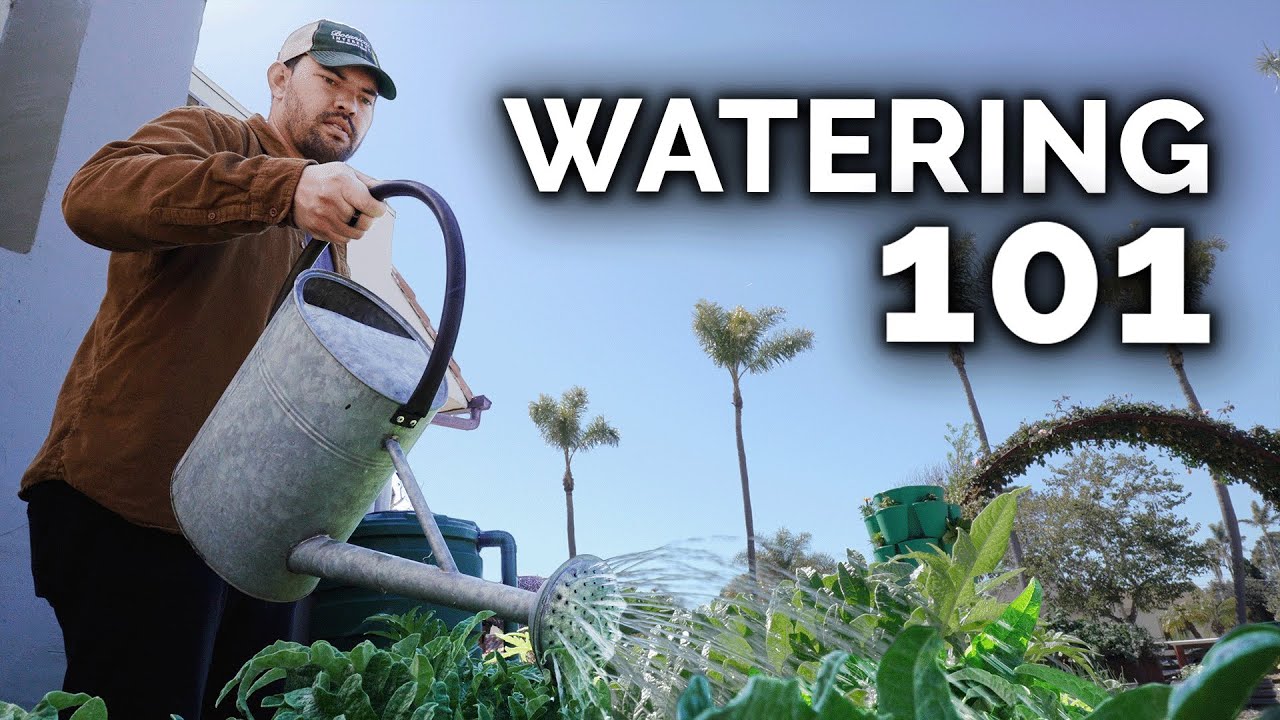 7 Tips to Water Your Garden Perfectly 🌻🚿