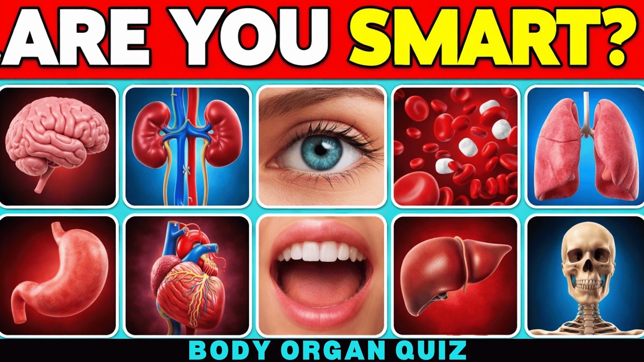 POV: You Think You Know Your Body Parts… Think Again! 👀