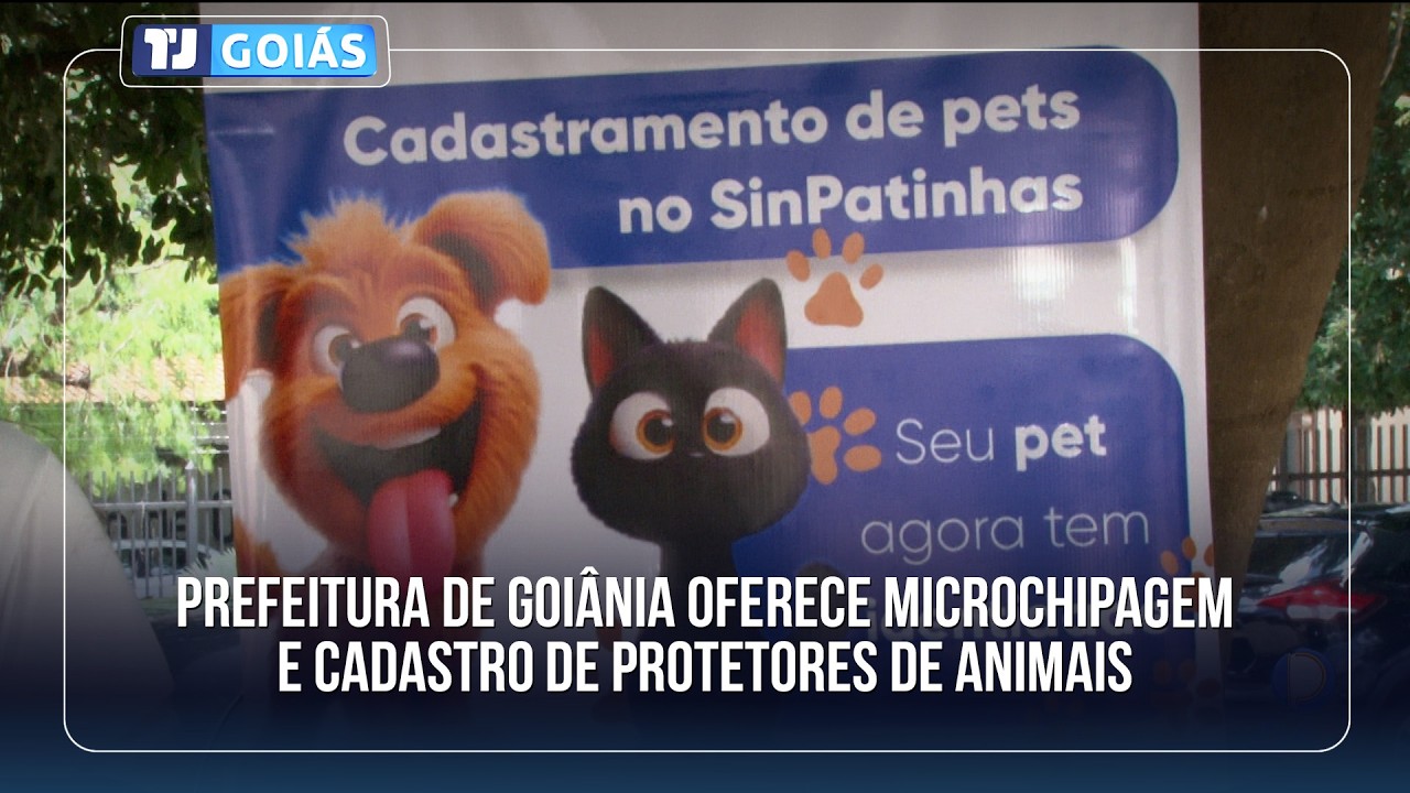 PREFEITURA DE GOIÂNIA OFERECE MICROCHIPAGEM E CADASTRO DE PROTETORES DE ANIMAIS