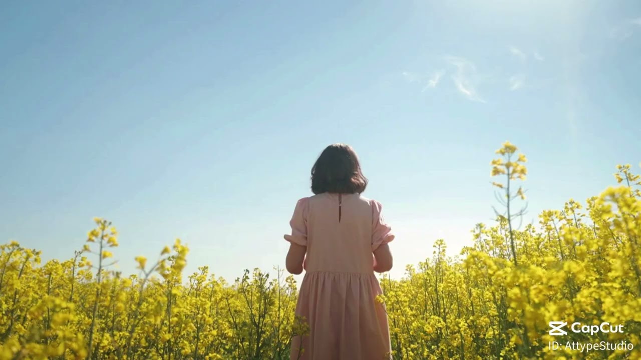 Tôi Nuôi Cả Gia Đình Anh 5 Năm, Anh Lại Có Vợ Khác phần 1