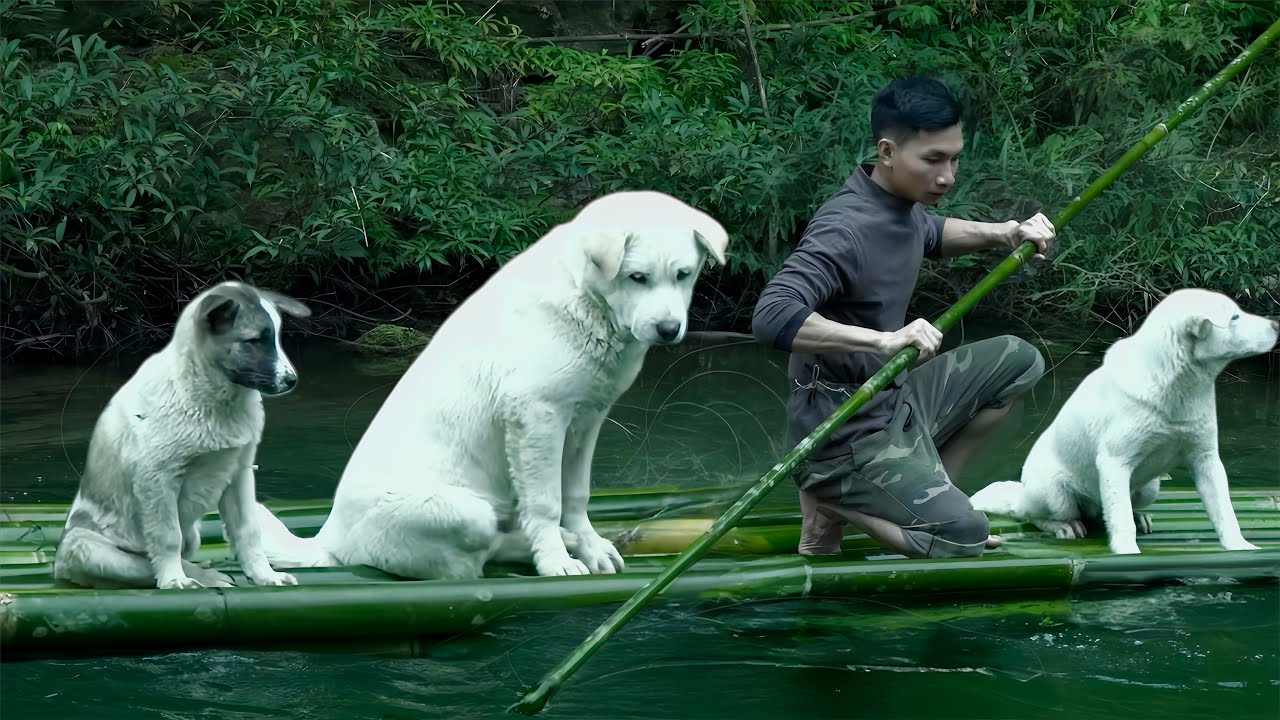 Off-Grid River Life With My Dogs | We Travel by Bamboo Raft