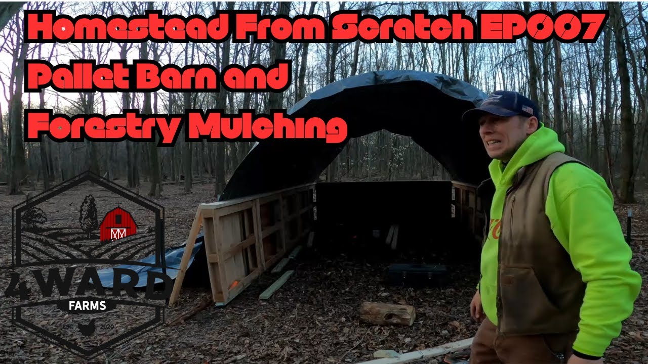 Homestead From Scratch - EP007 - Hoop Pallet Barn and Forestry Mulching