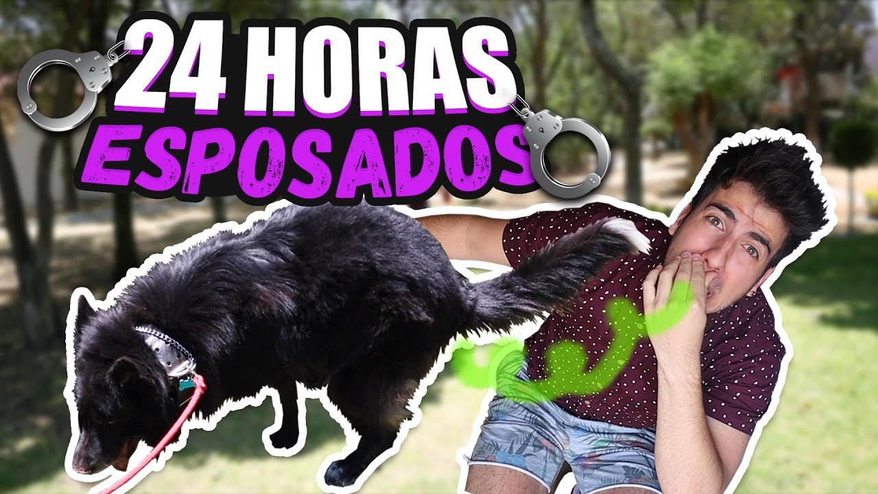 24 HORAS ESPOSADO a mi PERRO