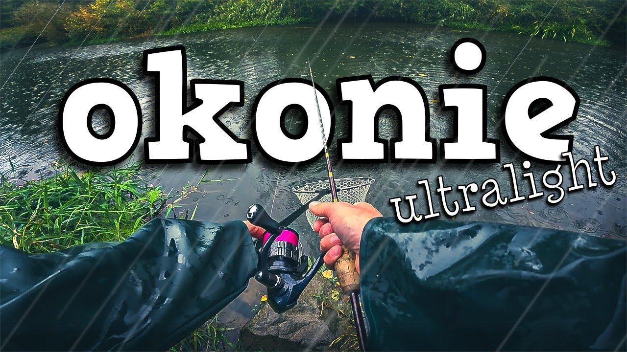 Okonie i klenie w deszczu 🌧 Fajnie się łowiło 😌