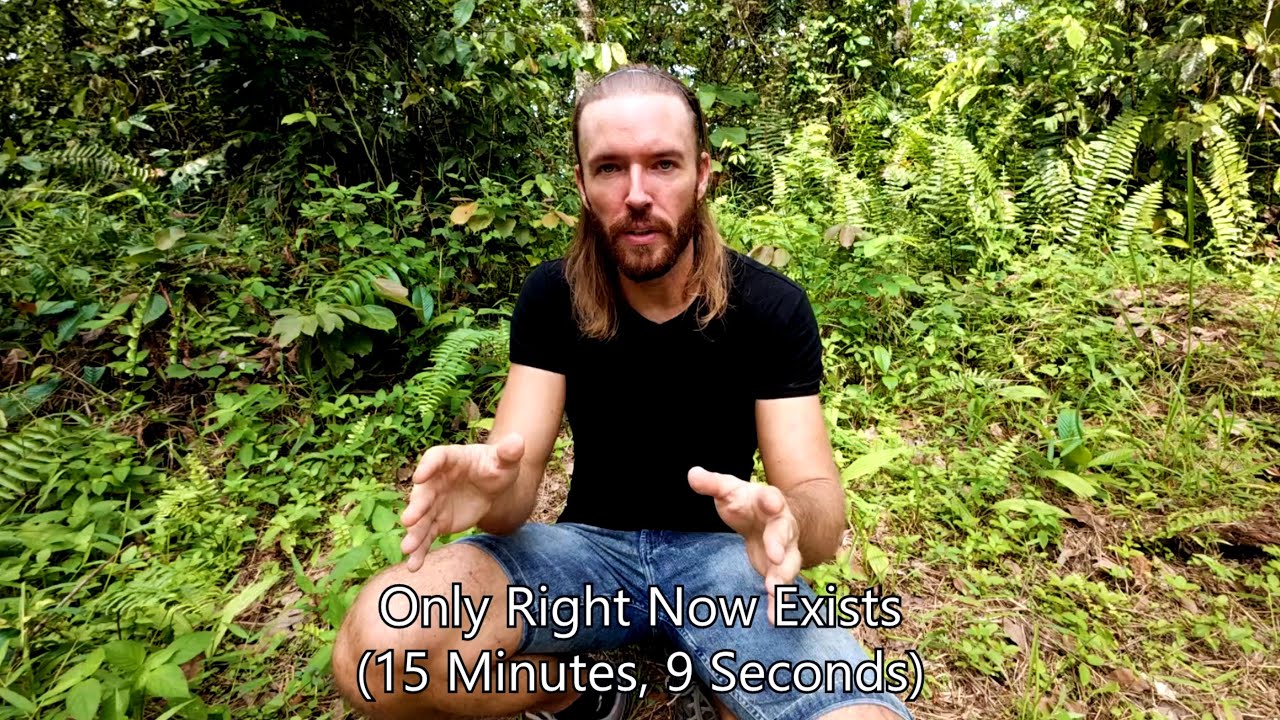 Новые видео о природе &mdash; только в Telegram