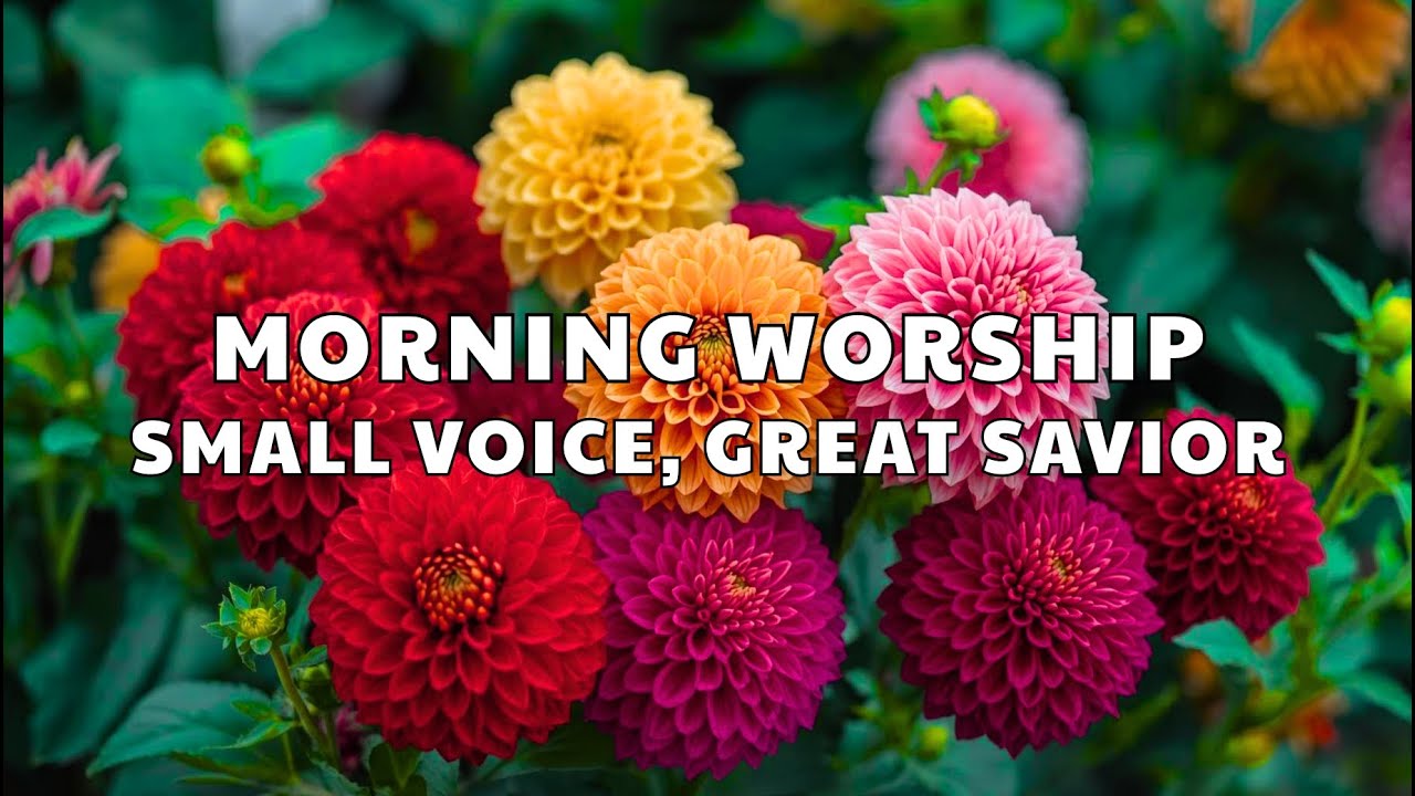 ☀️ Wake Up with Jesus 🔴 LIVE | Top Morning Praise to Begin in Prayer | The Dwelling Place