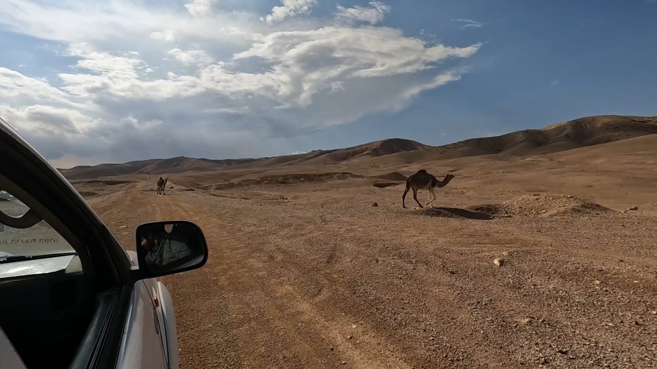 טיול שיטפונות ללא שיטפונות (או גשם)