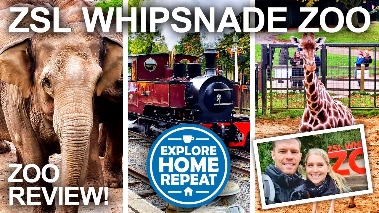 ZSL Whipsnade Zoo Full Tour & Zoo Review | Family Days Out | UK Travel Vlog