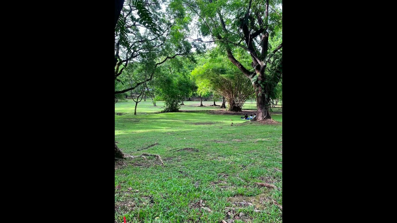 Patunay 🍃🍀