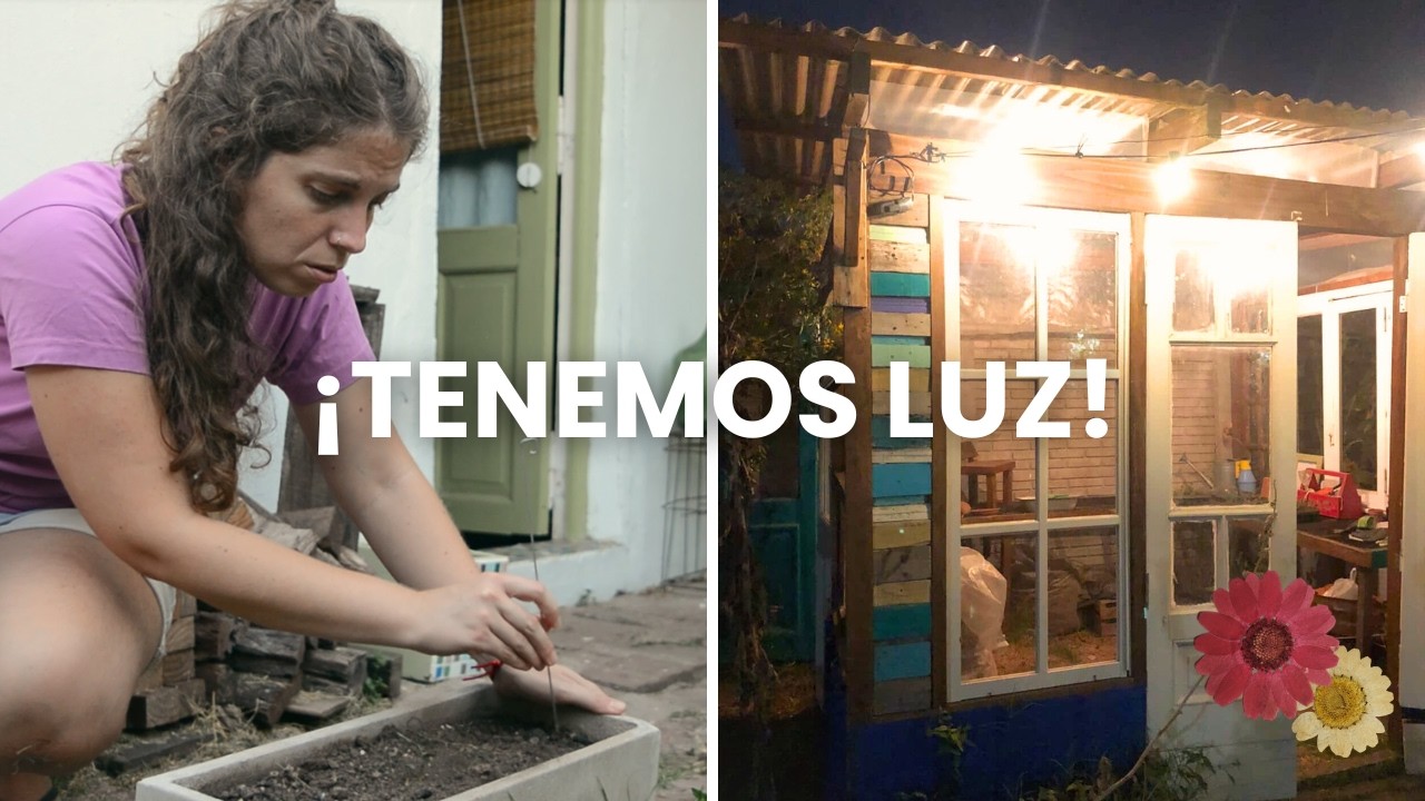 Sembramos rabanitos | ¡Llegó la luz al invernadero!