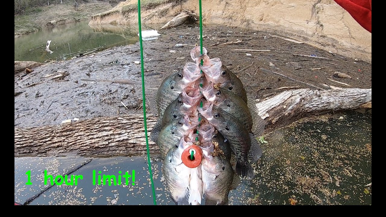 20 minutes of Pre-Spawn crappie every drop in this creek trash pile! Limited out in 1 hour!