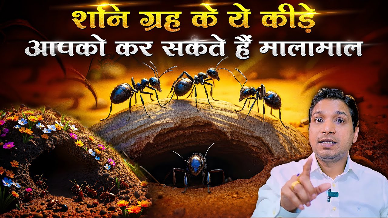 घर में ऐसे कीड़े कर सकते हैं आपको मालामाल | Money Through Insects #lalkitabjyotish