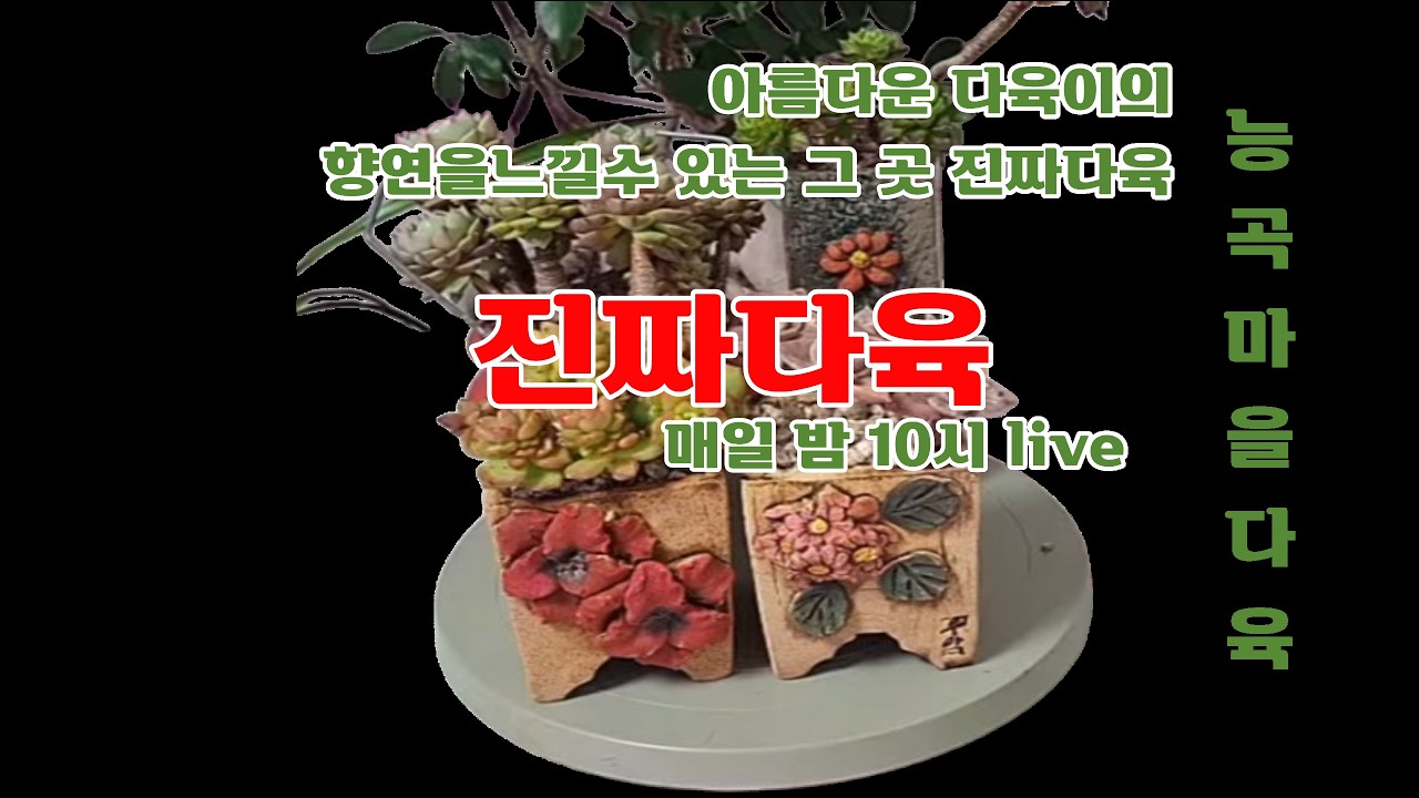 진짜다육 라이지브 방송