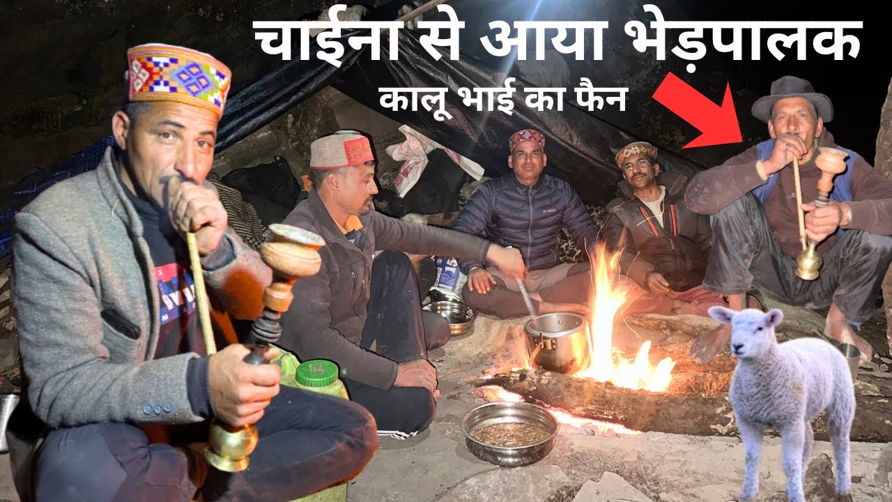 चाईना से आ पहुँचा भेड़पालक कालू गद्दी के डेरे में  || कालू भाई ने प्यार से रख दिया चाइनीज़ नाम😂😂 ..!