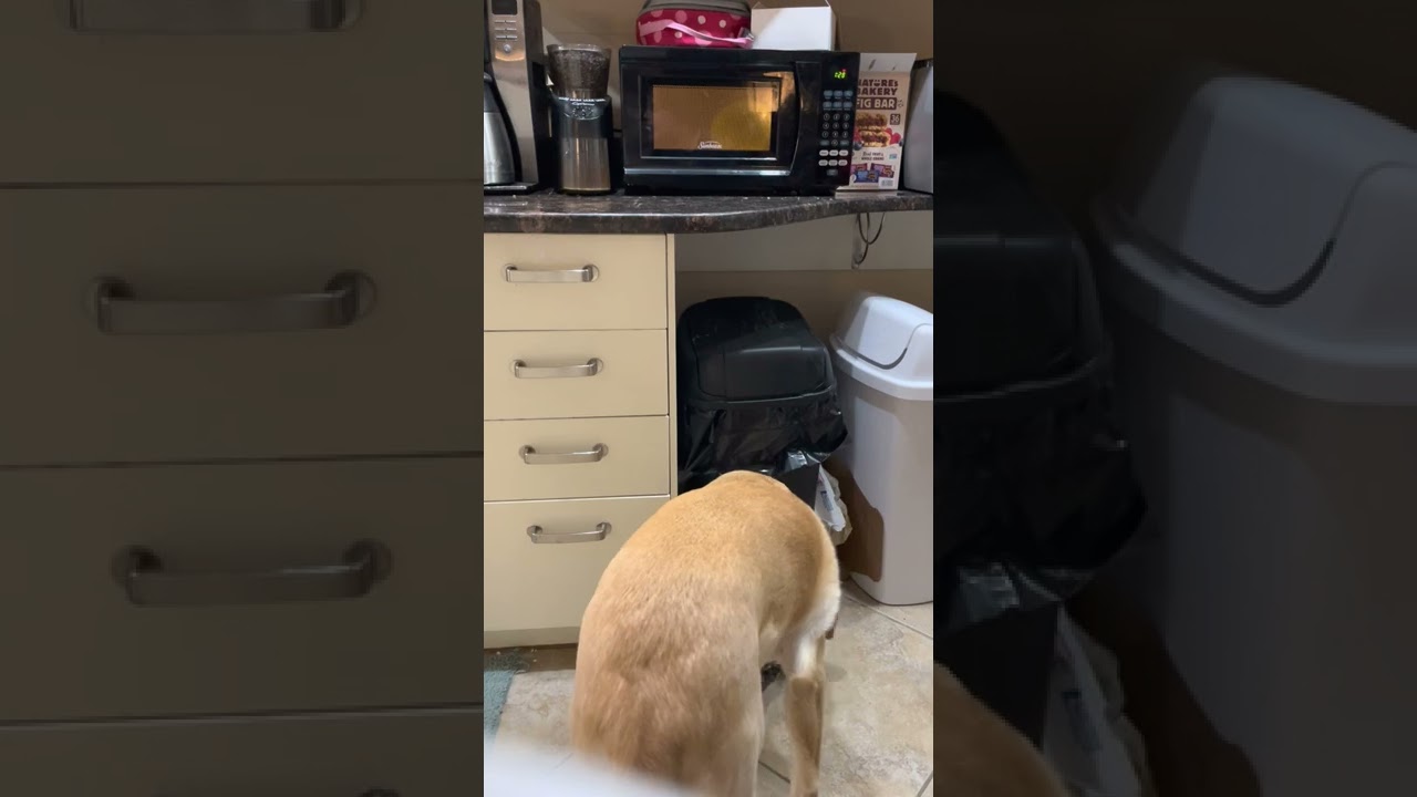 Balloon in a sunbeam microwave